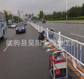 市政道路围栏 异型管人行道分割栏 护栏网