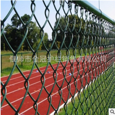 河南PVC包塑勾花网 拧花网 体育运动场 篮球场围栏 热镀锌勾花网