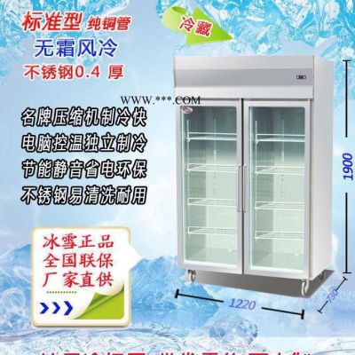 深圳冰雪厨房柜 立式玻璃门冷柜 肉类保鲜柜 展示柜 商用冰柜