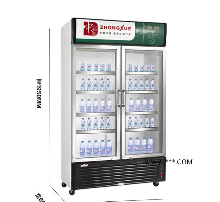 冷柜玻璃门饮料展示柜 立式单温直冷保鲜冷藏柜设备雪柜 超市冰柜