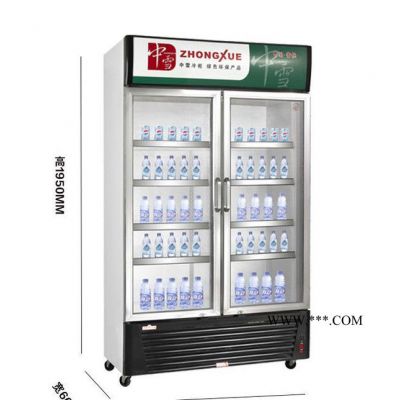 冷柜玻璃门饮料展示柜 立式单温直冷保鲜冷藏柜设备雪柜 超市冰柜