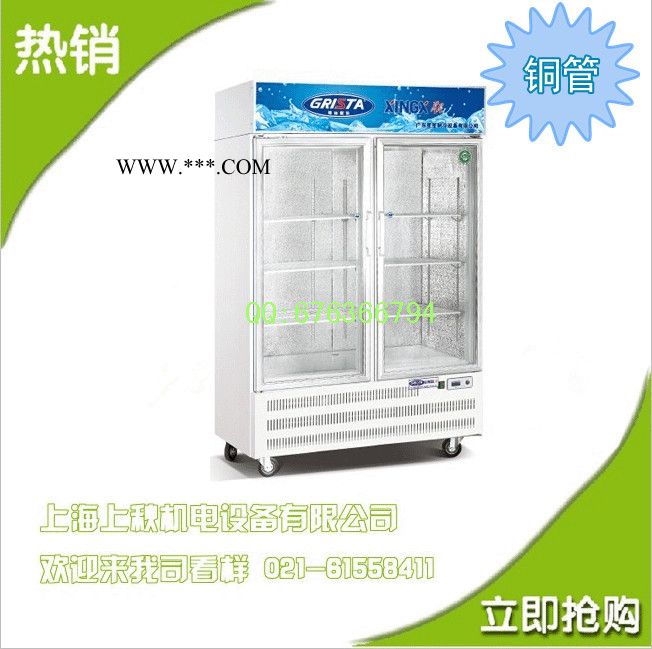 星星大二门立式玻璃门展示柜SG1.0E2B-A冷藏冰箱饮料保鲜柜陈列柜