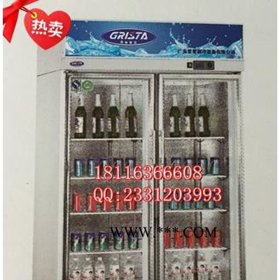 星星二门立式玻璃门展示柜SG1.0E2展示柜冷藏冰箱超市饮料展示柜