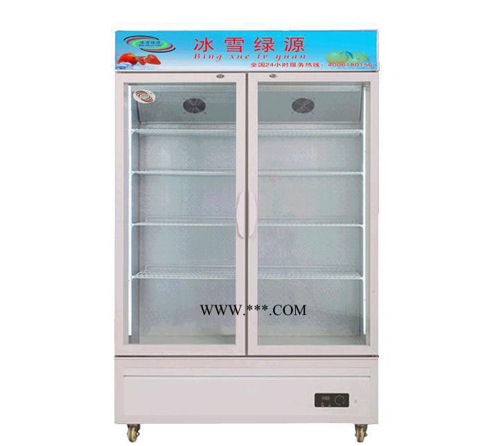 立式玻璃门冷藏冷冻柜 超市商用冰柜展示柜水果饮料保鲜冷柜双门