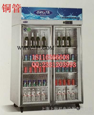 星星二门立式玻璃门展示柜SG1.0E2-A冷藏冰箱超市饮料展示柜铜管