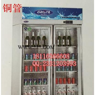星星二门立式玻璃门展示柜SG1.0E2-A冷藏冰箱超市饮料展示柜铜管