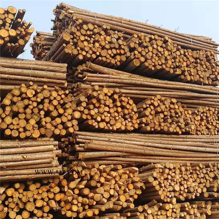 山东泰安长期供应久盛2米抛光松木杉木杆 杉木桩